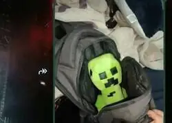 Advirtiendo a mi compa&ntilde;ero favorito