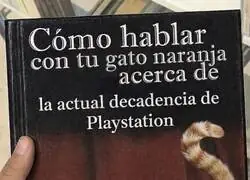 Y el gato: "Playstation? No existe"