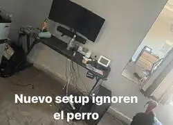 Rate this setup