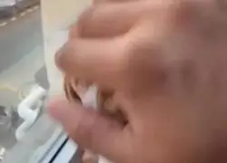 Pa' que evolucione r&aacute;pido