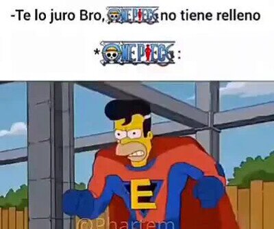 Nunca me har&aacute;n ver One piece.