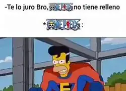 Nunca me har&aacute;n ver One piece.