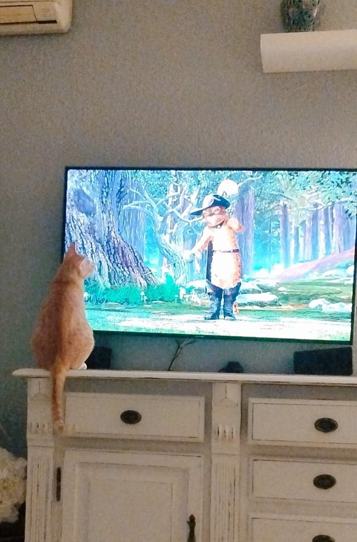 Cuando ves a alguien en la tele haciendo algo que t&uacute; llevas toda la vida intentando