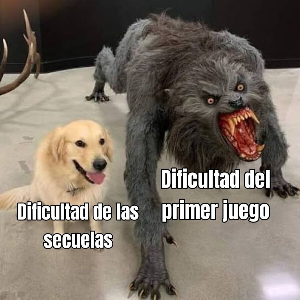 &iquest;Qu&eacute; franquicia es esta?