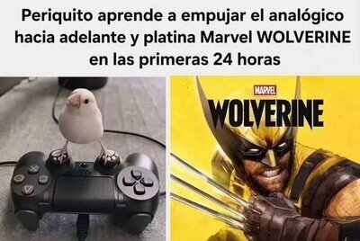 Periquito haciendo speedrun de esta aberraci&oacute;n