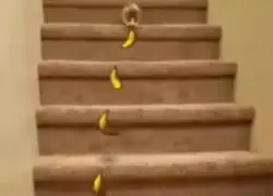 No me acordaba de esta parte en Donkey Kong