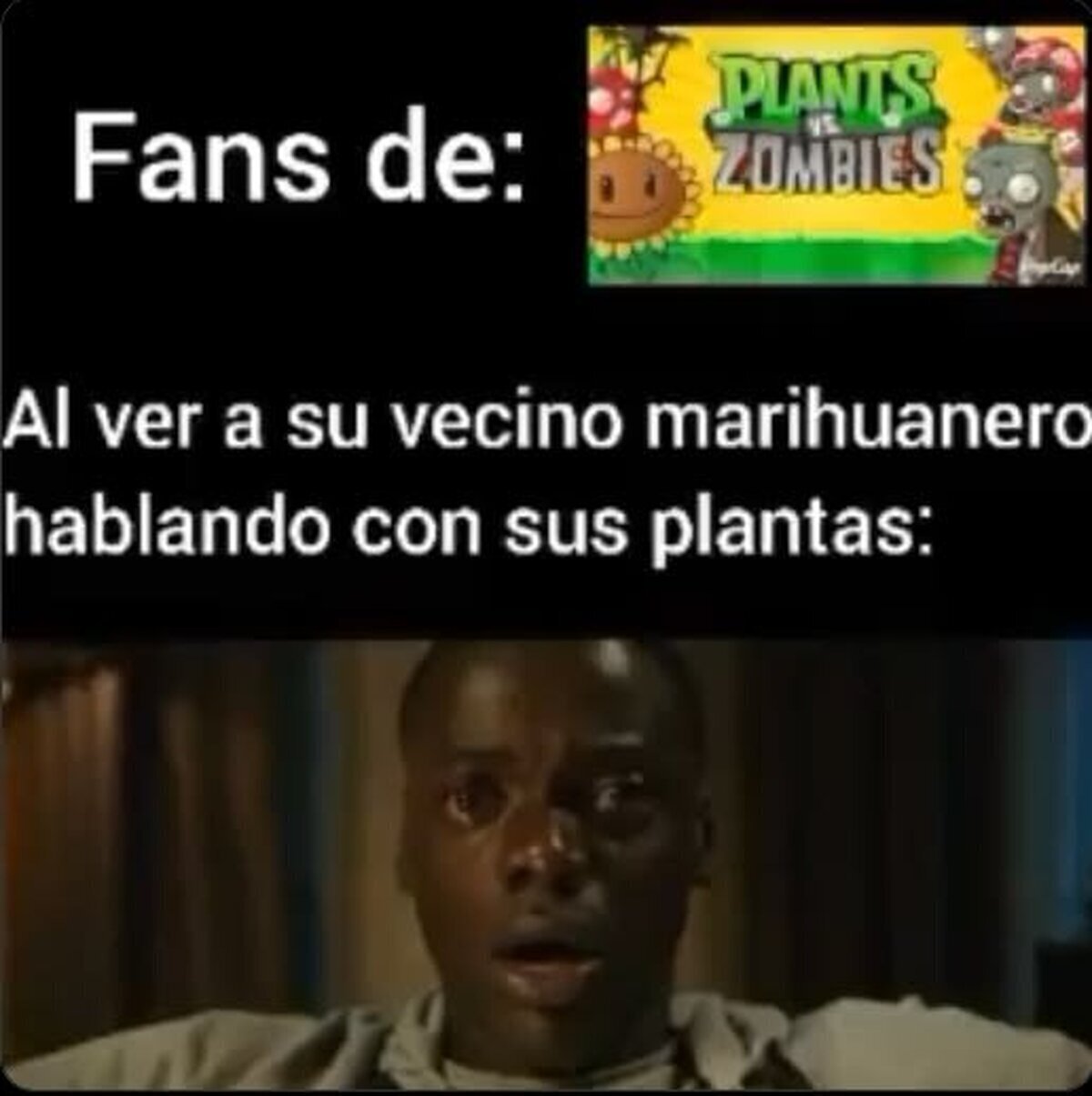 Se ha hecho canon
