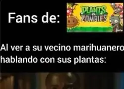 Se ha hecho canon