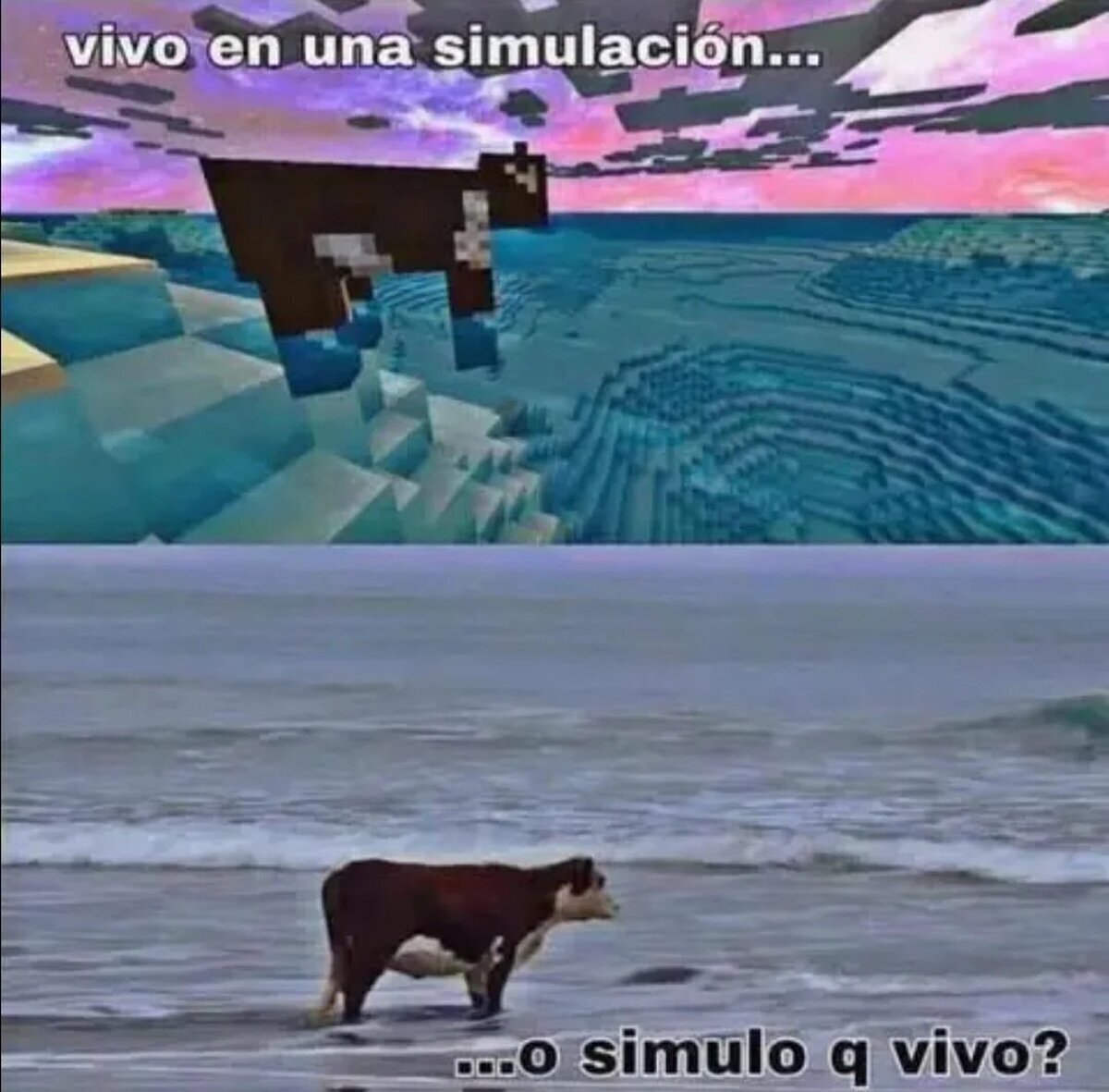 No estaba preparado para tanta profundidad