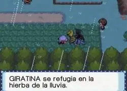 No, no la cubre nada