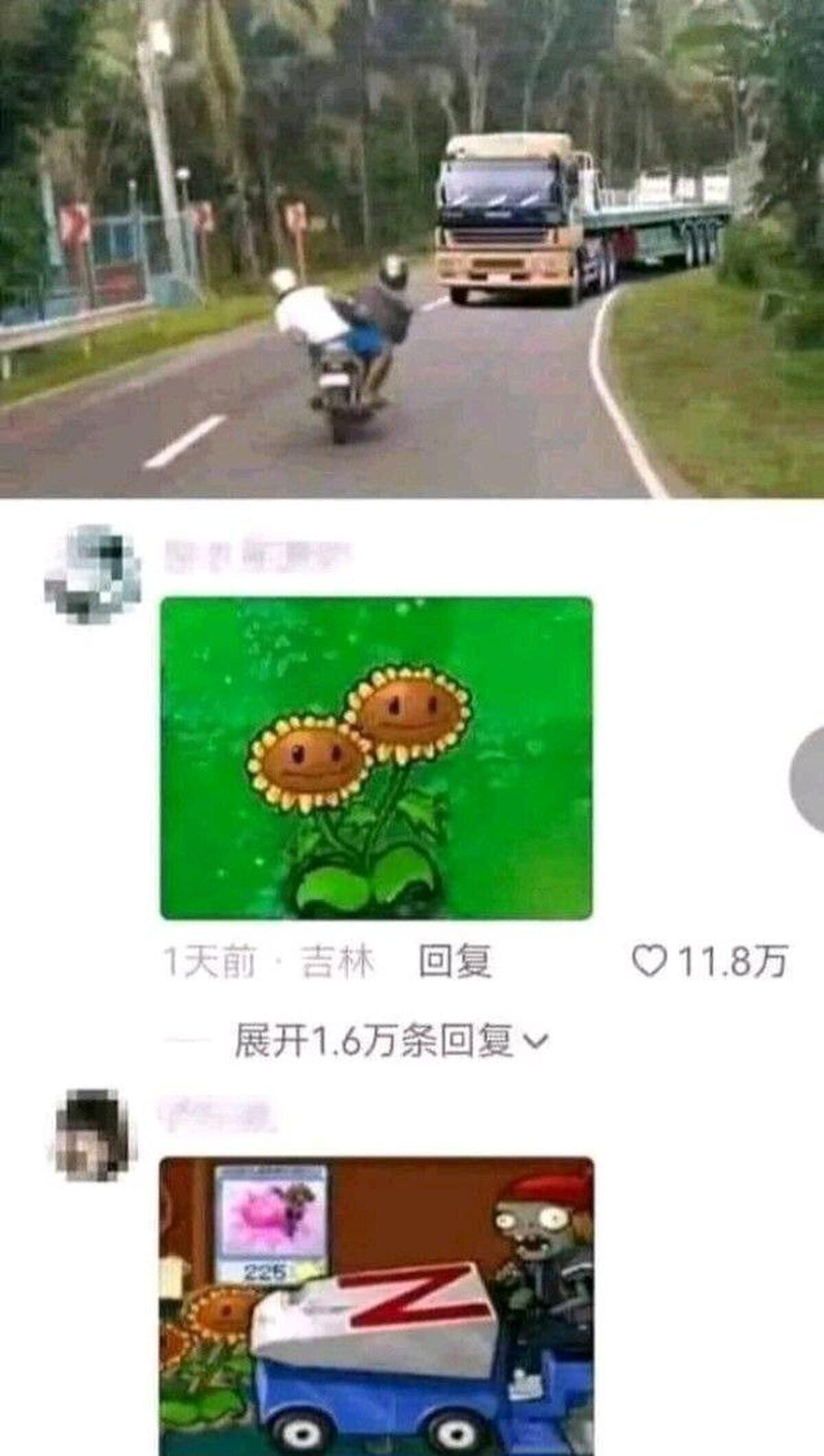 Los comentarios de los fans de PVZ son los mejores