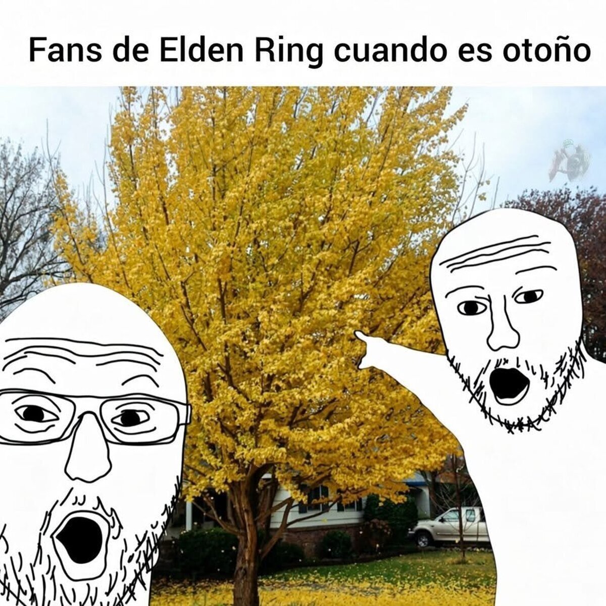 ¡Es el arbol aureo!