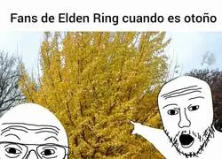 &iexcl;Es el arbol aureo!
