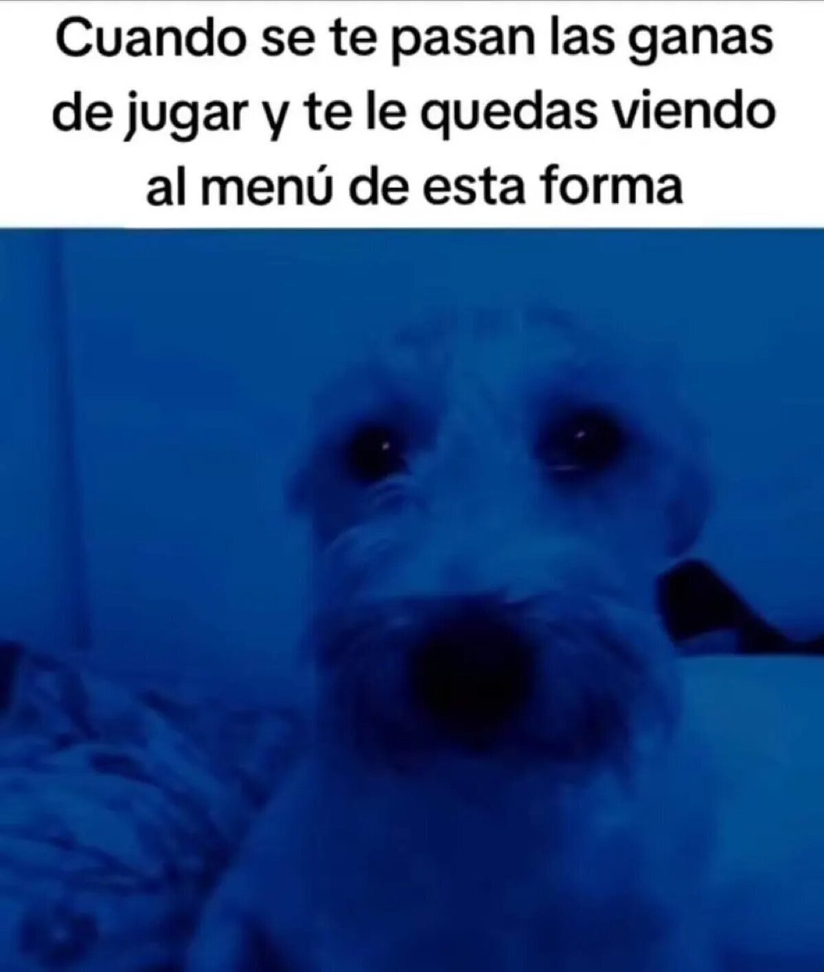 ¿Qué hago ahora yo con mi vida?