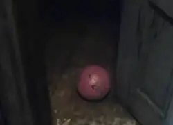 Siempre sere una viuda de P.T.
