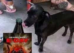 No resisto m&aacute;s