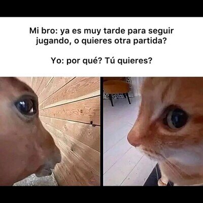 Siempre voy a querer