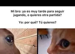 Siempre voy a querer