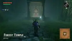 Primer vistazo al templo del boque como Link adulto en Ocarina of Time