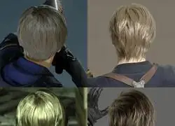 El Pelo de Leon a trav&eacute;s de los &uacute;ltimos juegos